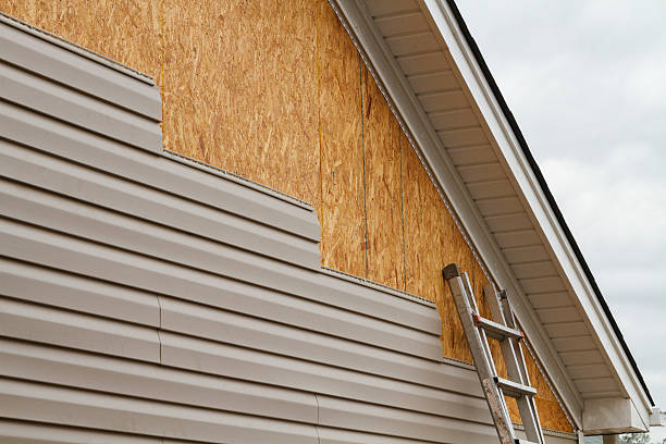 Professional Vinyl Siding technician working in Glenwood, IL